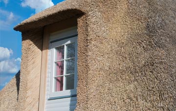 Baldhu thatch roof disadvantages